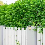 Maroubra Gem Close To Beach Sleep 16